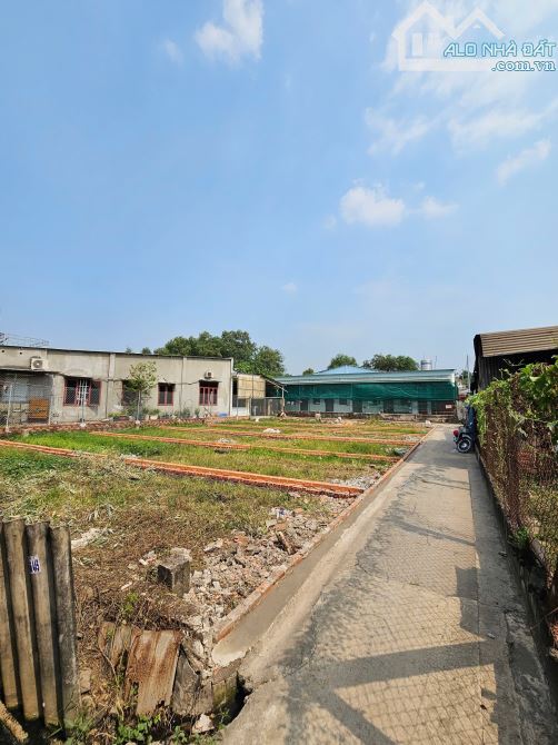 1,6 Tỷ TL🔥Bán 2 lô đất 74,1m2_Cách đường Bình Nhâm 40 chỉ 50m, p.Bình Nhâm, Tp.Thuận An - 5