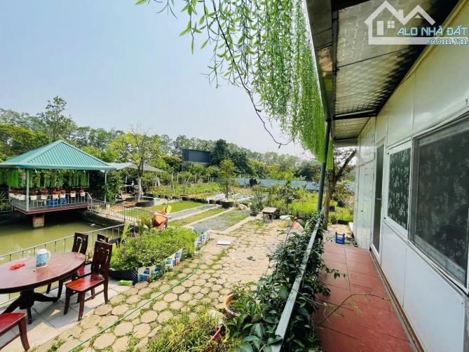 🔥 SIÊU HOT – BÁN 1.100M² ĐẤT ĐÔNG ANH, GIÁ CHỈ 3.15 TỶ! 🔥 - 3