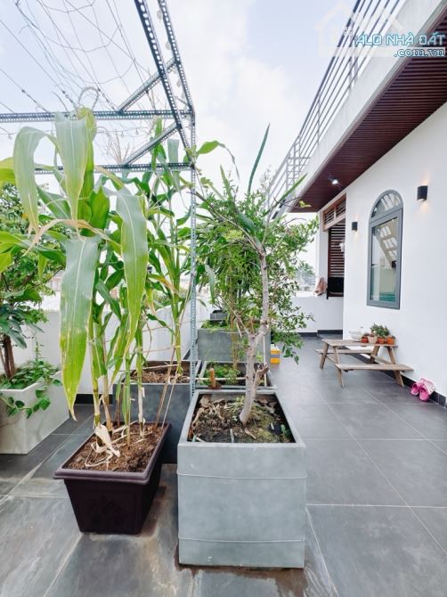 Biệt thự- Nguyễn Thông - Q3 - DT: 7.7/8.25*12m- 29 tỷ - 8