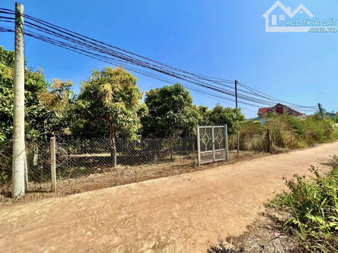 ✨ 1.000m2 (100m2 ONT). Đã rào sẵn lưới B40 & Full vườn Xoài Cát Hoà Lộc đang thu - 1.45 Tỷ