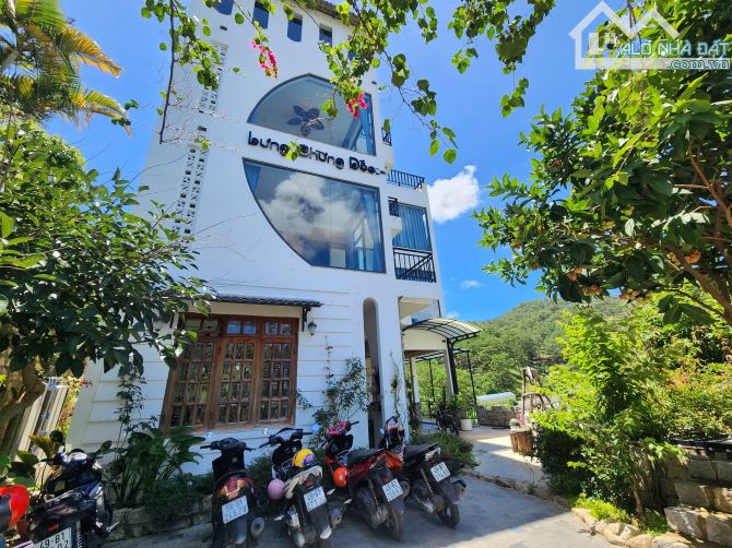 Chiếc homestay xinh view thông xanh thu nhập tốt p10 đà lạt