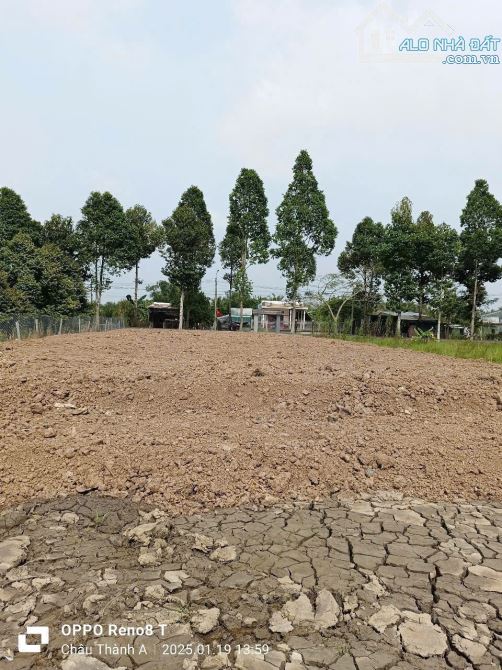 Bán đất mặt tiền Bốn Tổng Một Ngàn 1.282m2 Xã Trường Long A,H Châu Thành A, Tỉnh Hậu Giang