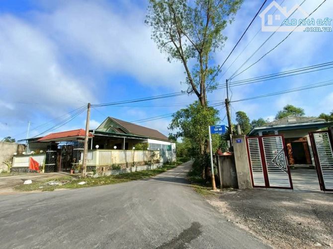 Đ𝐚̂́𝐭 𝐕𝐚̀𝐧𝐠 𝐌𝐚̣̆𝐭 𝐓𝐢𝐞̂̀𝐧 vo phi trang 𝐍𝐠𝐮𝐲𝐞̂̃𝐧 𝐓𝐡𝐚𝐧𝐡, Lương Viện - 1