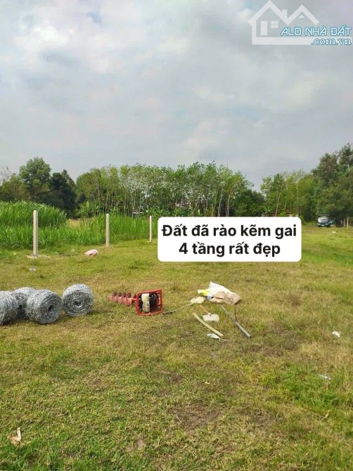 ✨ ĐẤT LỚN THỔ CƯ KHỦNG cho khách tìm xây Nhà Vườn. Ngang 12M Nở hậu có 400M2 ODT - 2.65 Tỷ - 1
