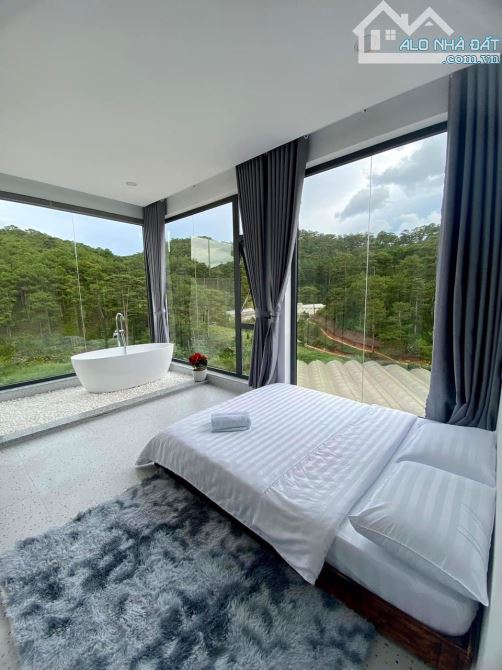 Chiếc homestay xinh view thông xanh thu nhập tốt p10 đà lạt - 1