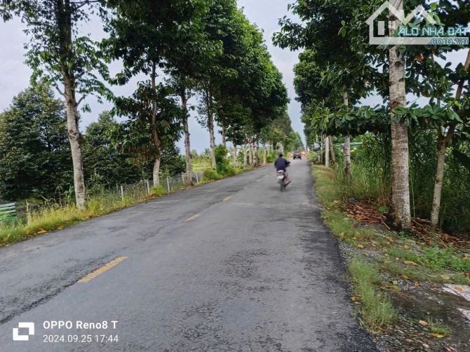 Bán đất mặt tiền Bốn Tổng Một Ngàn 1.282m2 Xã Trường Long A,H Châu Thành A, Tỉnh Hậu Giang - 1