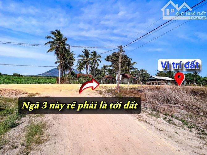 ✨ 5x30M (50m2 Thổ Cư) đường sỏi đỏ rộng 7M (QH: đổ Nhựa) KDC sầm uất, gần thị trấn - 379TR - 14