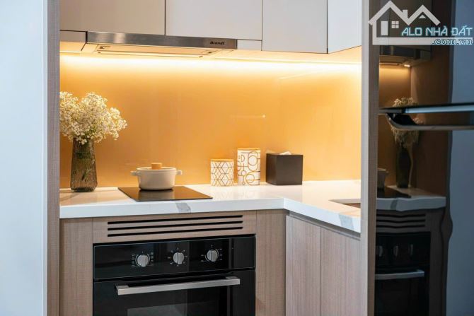 Bán căn hộ loại 1PN+1 Sun Symphony Đà Nẵng - diện tích 48,5m2 giá rẻ nhất chỉ 3tỷ299 - 15