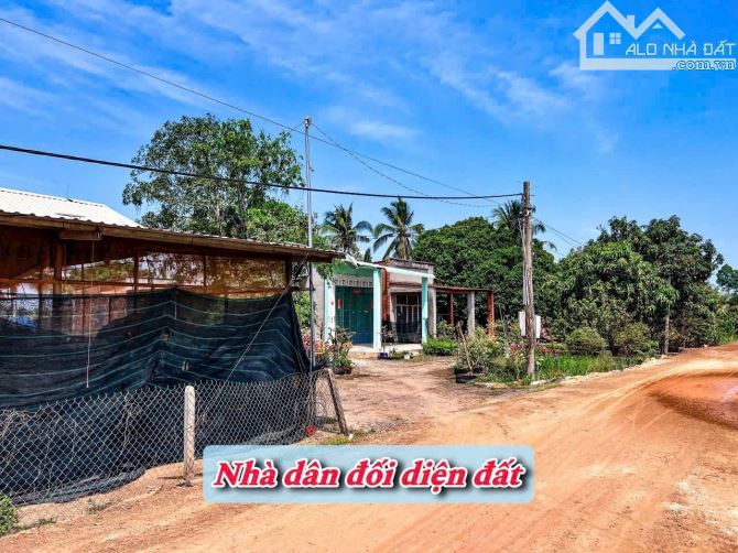 ✨ 5x30M (50m2 Thổ Cư) đường sỏi đỏ rộng 7M (QH: đổ Nhựa) KDC sầm uất, gần thị trấn - 379TR - 19