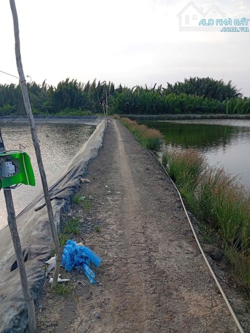 Bán đất xã Bình Khánh cần giờ, DT 3325m loại đất cây lâu năm, pháp lý sổ hồng riêng, - 2