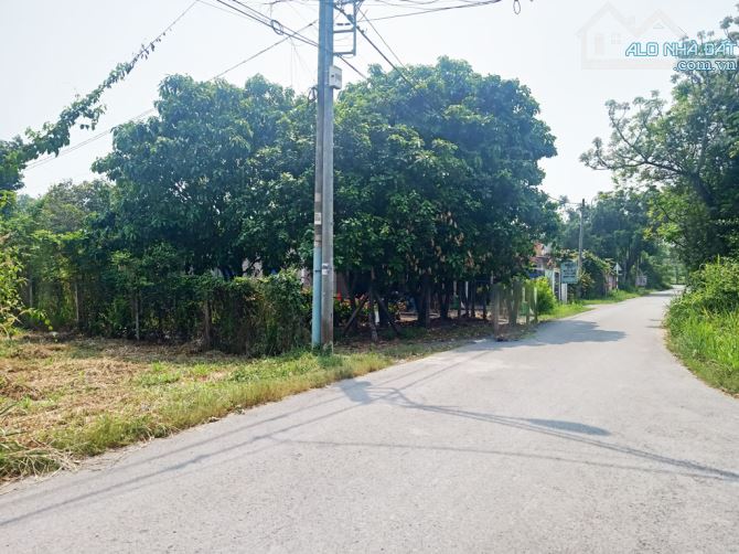 Bán đất đường 488 - 338m2 - 6x55 - 99m2 thổ cư - xã Phú Hòa Đông - Củ Chi - 2