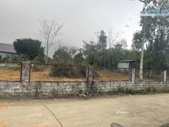 Chính chủ gửi bán lô đất thôn 9 xã ba trại - 2