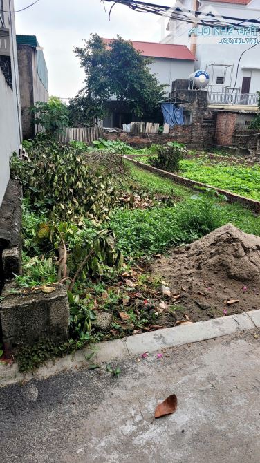Bán 67m2 đất ngay sát chợ vàng Cổ Bi giá 4.55 tỷ - 2