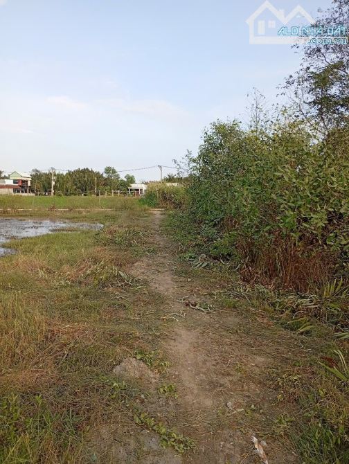 Bán đất xã Bình Khánh cần giờ, DT 3325m loại đất cây lâu năm, pháp lý sổ hồng riêng, - 3