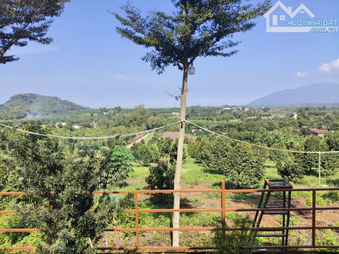 Bán 1,2 ha (12000m) Lang Minh. Xuân Lộc - 3