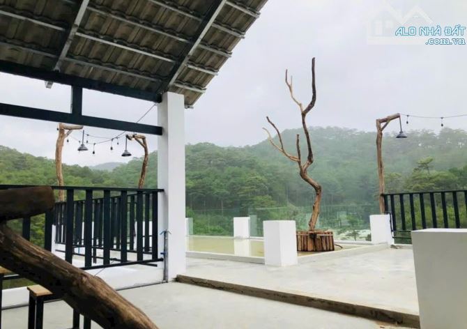 Chiếc homestay xinh view thông xanh thu nhập tốt p10 đà lạt - 3