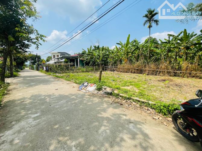 Đất nền Điện Hồng - Điện Bàn giá 5xxtr sẵn sổ ĐẦU TƯ NGAY TRƯỚC SÁT NHẬP - 3