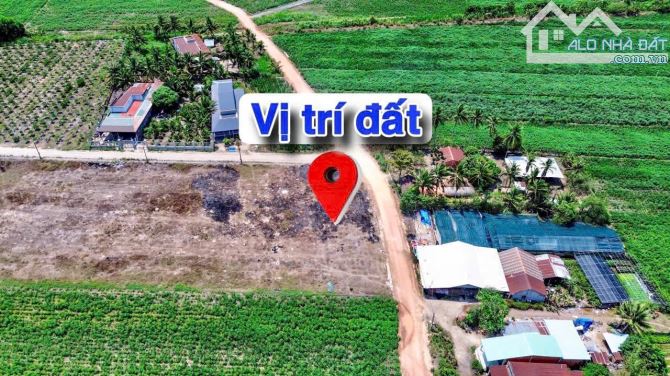 ✨ 5x30M (50m2 Thổ Cư) đường sỏi đỏ rộng 7M (QH: đổ Nhựa) KDC sầm uất, gần thị trấn - 379TR - 3