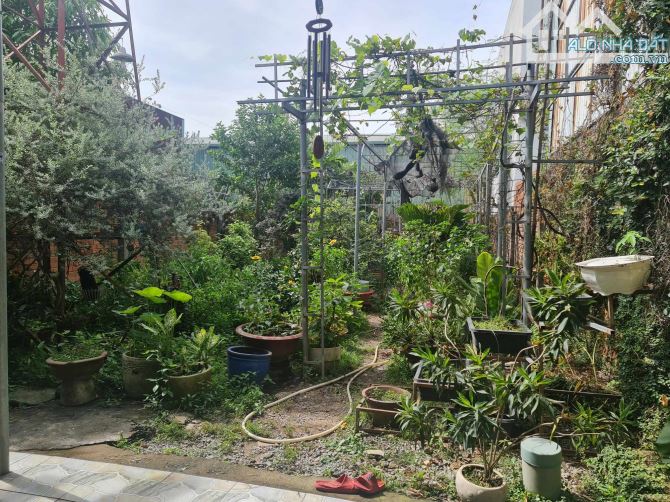 Mặt Tiền Lê Thị Trung gần Vòng xoay An Phú ,8 x 60 - 3