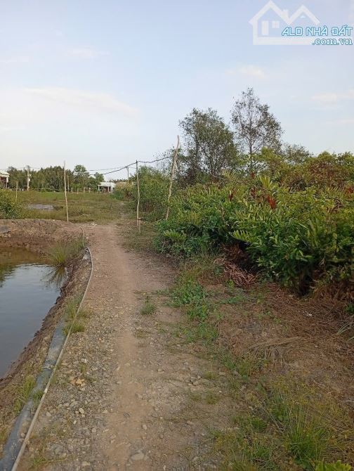 Bán đất xã Bình Khánh cần giờ, DT 3325m loại đất cây lâu năm, pháp lý sổ hồng riêng, - 4