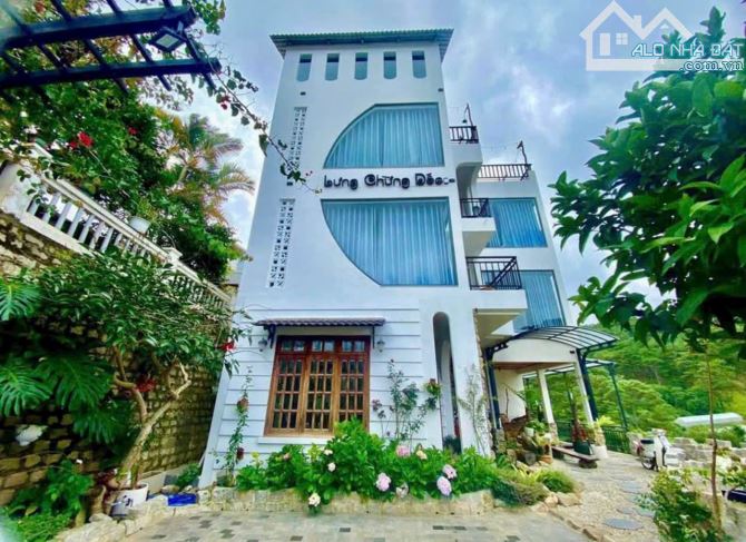 Chiếc homestay xinh view thông xanh thu nhập tốt p10 đà lạt - 4