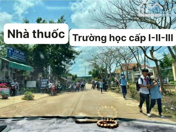 ✨ 1.000m2 (100m2 ONT). Đã rào sẵn lưới B40 & Full vườn Xoài Cát Hoà Lộc đang thu - 1.45 Tỷ - 5