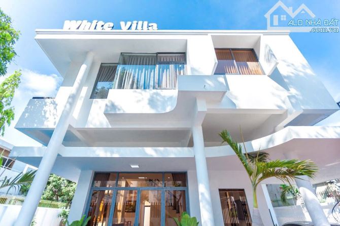 Bán Biệt Thự Vip 431m2(20x21m) khu Bãi Sau, Vũng Tàu -Giá 43.1tỷ tl - 5