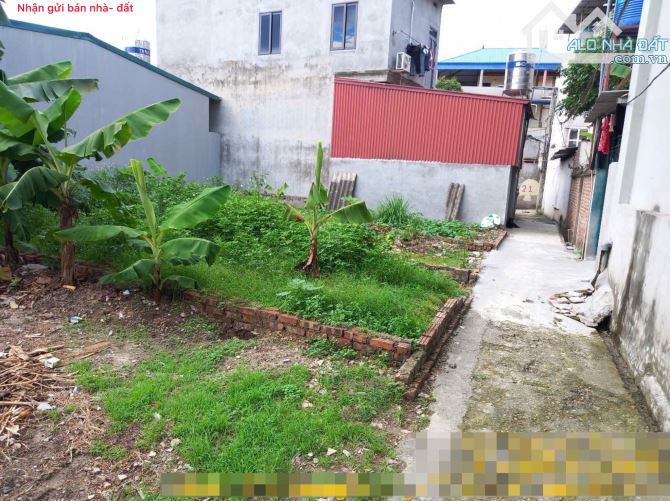 Bán đất Mai Đình, Sóc Sơn, HN. Gần sân bay và khu công nghiệp Nội Bài. Siêu nhỏ, siêu hiếm