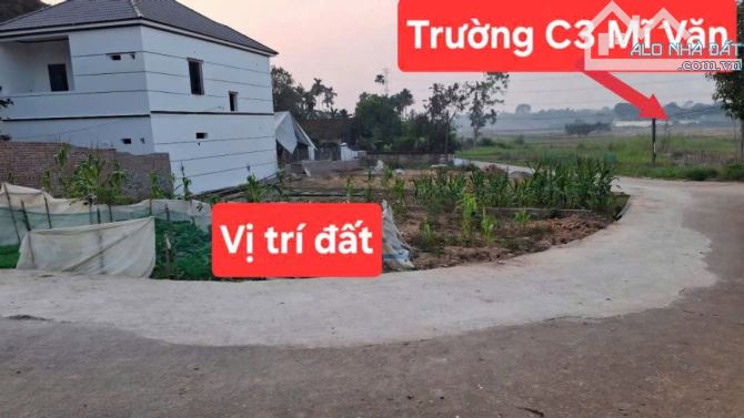 Cực hiếm tại lam sơn- tam nông- phú thọ chỉ hơn 500