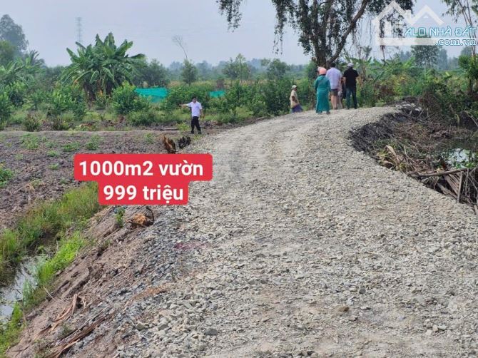 1000m2 vườn view kênh 999 triệu Bình đức bến lức Long An