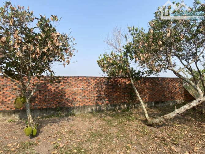 CẦN BÁN GẤP LÔ ĐẤT 1260m2. ĐƯỜNG THÔNG. NGAY KCN THÀNH THÀNH CÔNG. GIÁ 6 TỶ TL