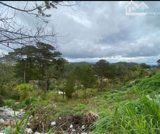 Bán lô đất Hoàng Hoa Thám-180 m🔥6 Tỷ 8 có tl- view rừng thông🌲