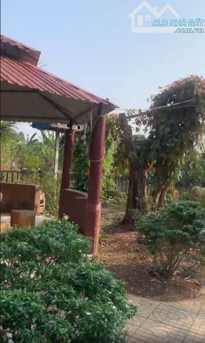 Nhà vườn ôm suối ở huyện Châu Đức, BRVT tổng dt 1,5ha có 100m2 thổ giá 19 tỷ