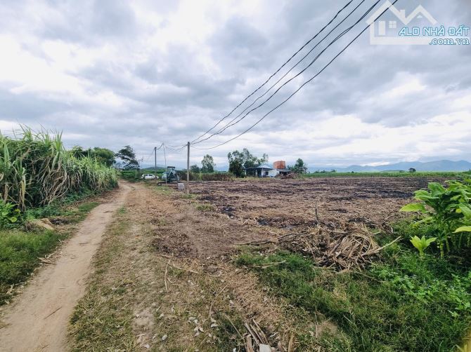500m2 chỉ 139 triệu tại Ninh Hoà, Khánh Hoà