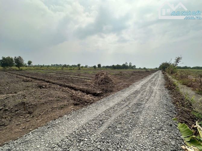 Quá Rẻ -  Đất vườn 500m2 - 320tr - Thủ thừa - Long An