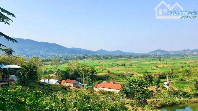 Bán lô đất nghỉ dưỡng 2068m2, ont 200m tại Yên Bài, Ba Vì. Giá nhỉnh 4tr/m