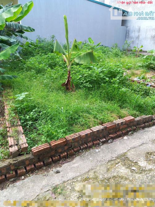 Bán đất Mai Đình, Sóc Sơn, HN. Gần sân bay và khu công nghiệp Nội Bài. Siêu nhỏ, siêu hiếm - 1