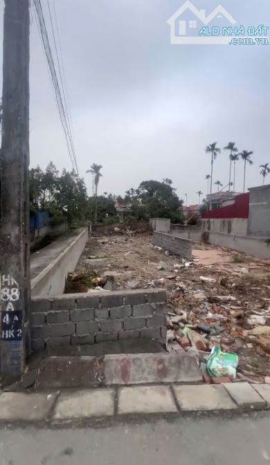 Bán lô góc 77m2 tại trục Hy Tái ,Hồng Thái,An Dương,Hải Phòng - 1