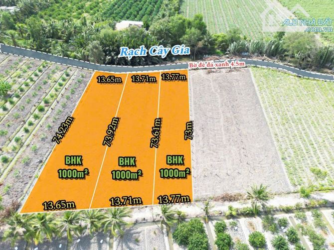 1000m2 vườn view kênh 999 triệu Bình đức bến lức Long An - 1