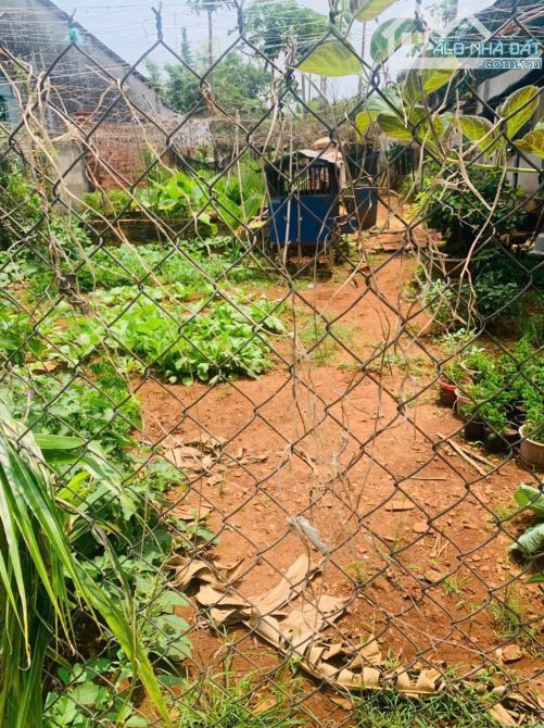 Đường số 18 Hoà Long - Tp Bà Rịa Vũng Tàu- Ngang 8m x 50m  thổ cư-3,4 TỶ - 1