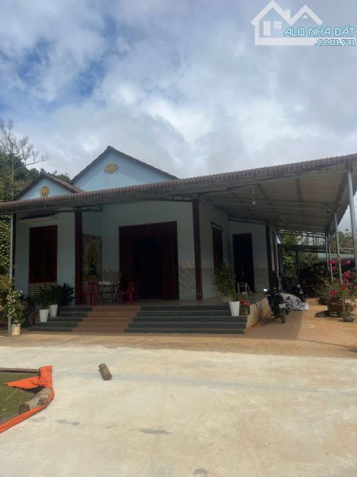 Nhà mái Thái to . 1,6 ha đất Tiêu ,Café, Sầu Riêng cách QL14 khoảng 1 Km - 1