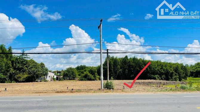 BÁN 557M2 MẶT TIỀN QL55 NGAY KCN ĐẤT ĐỎ, LONG ĐẤT .BRVT  - GIÁ 2 TỶ800TR - 1