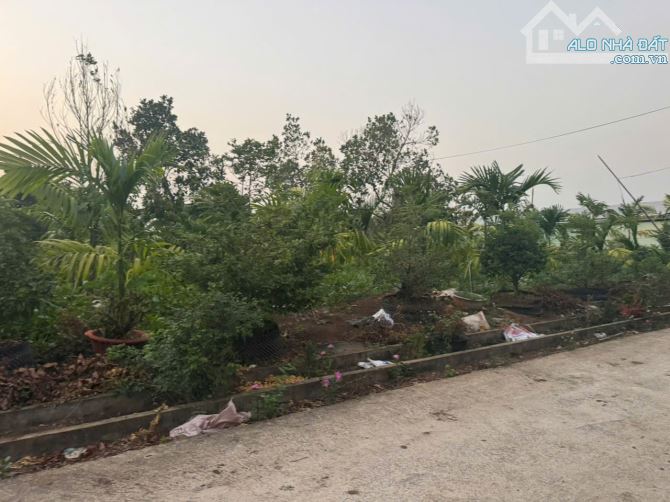 BÂN 1000M2 ĐẤT MẶT TIỀN NHỰA LÂM SAN CÂM MỸ ĐONG NAI, GIÁ 1.1 TỈ - 1