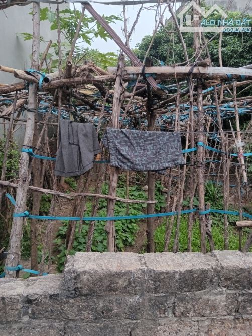 BÁN ĐẤT TRÂU QUY AN LẠC  GIÁ 4,9 TỶ - 1