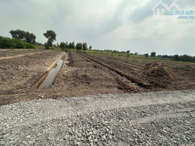 Quá Rẻ -  Đất vườn 500m2 - 320tr - Thủ thừa - Long An - 1