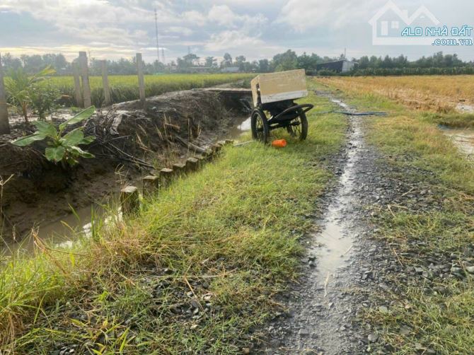 1000m2 vườn - Đường ô tô - Gần ngay thị trấn Tân Trụ - 1