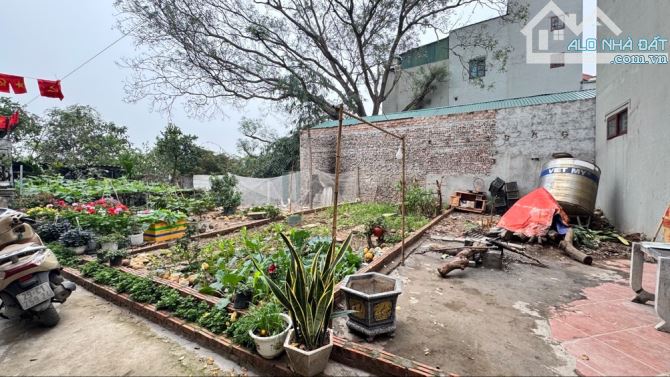 BÁN ĐẤT THỊ TRẤN TRÂU QUỲ-VIỆN RAU QUẢ HV NÔNG NGHIỆP- ÔTÔ 7 CHỖ VÀO-34m2-4 tỷ - 1