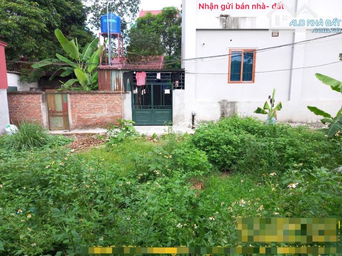Bán đất Mai Đình, Sóc Sơn, HN. Gần sân bay và khu công nghiệp Nội Bài. Siêu nhỏ, siêu hiếm - 2