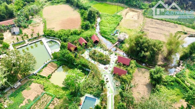 Chính Chủ Sang Nhượng Lại HomeStay Đang Hoạt Động Với Lượng Khách Đều Diện Tích 5000m - 2