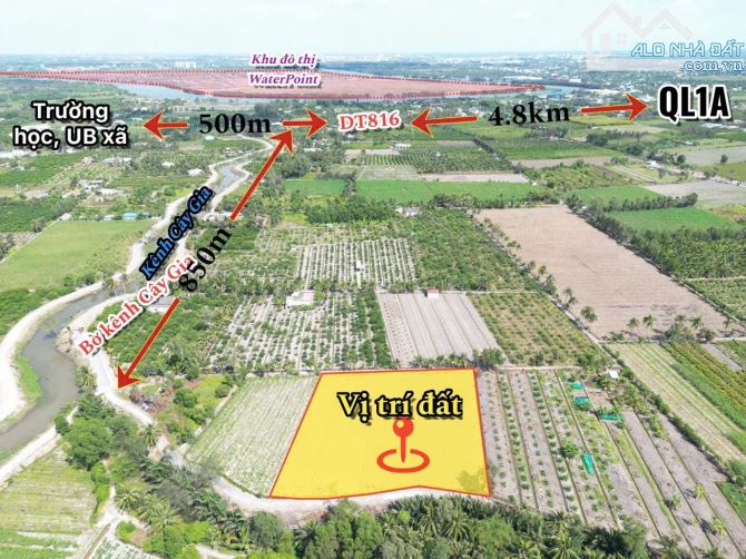 1000m2 vườn view kênh 999 triệu Bình đức bến lức Long An - 2